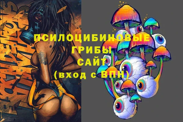 стафф Аркадак